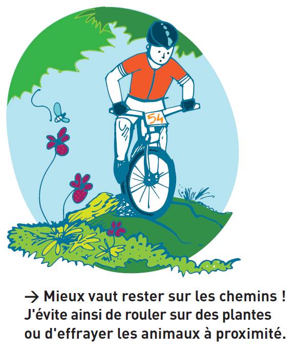 Illustration Mathilde Desgré