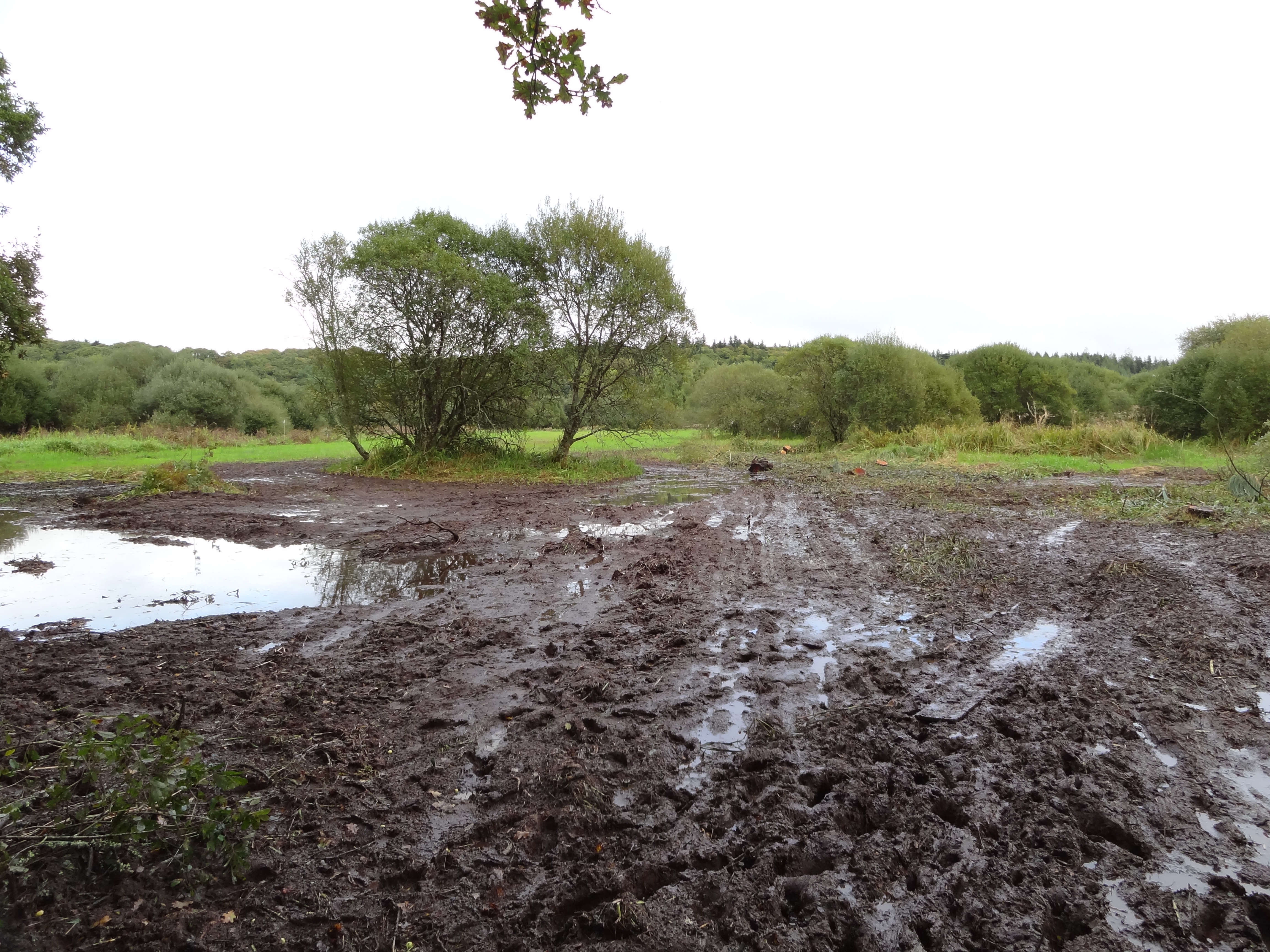Vue sur les Guerns © Romain SUAUDEAU